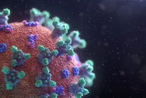New visualization of the COVID-19 virus